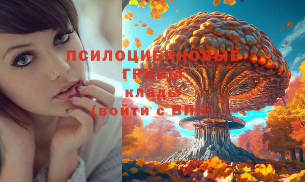 молекула духа Белокуриха