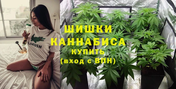 PSILOCYBIN Беломорск