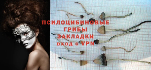 молекула духа Белокуриха