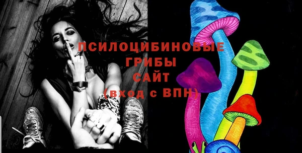 PSILOCYBIN Беломорск