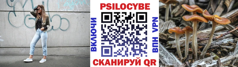 Галлюциногенные грибы GOLDEN TEACHER Гороховец